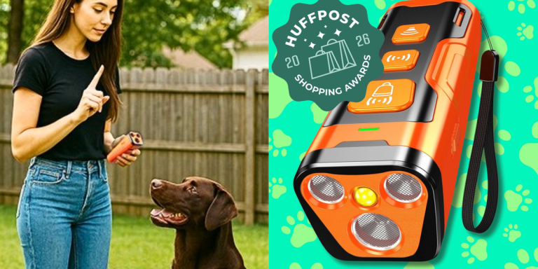 Shoppers Say This Dog Training Tool Works ‘Like A Magic Switch’ — And It’s Under $30